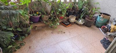 Balcony Image of 1190 Sq.ft 2 BHK Apartment / Flat for sale in Lakhani La Riveria, Panvel Navi Mumbai for Rs. 10500000