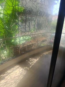 Balcony Image of 2800 Sq.ft 5 BHK Villa for rent in Porvorim Goa for Rs. 150000