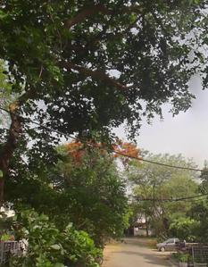 Image of 200 Sq.ft Residential Plot / Land for sale in DLF Phase 2, Gurgaon for Rs. 80000000