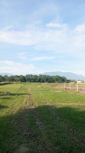 Image of 960 Sq.ft Residential Plot / Land for sale in Central Hope Town, Dehradun for Rs. 1600000