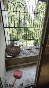 Balcony Image of 550 Sq.ft 1 BHK Apartment / Flat for sale in Badlapur West Badlapur for Rs. 2015000