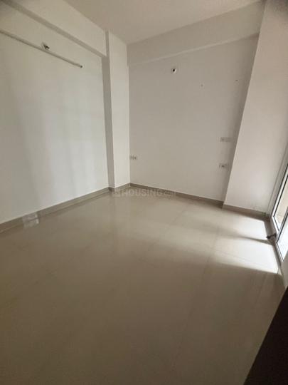 ACE Divino Main Image 1