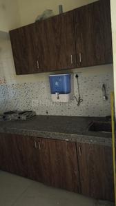 Kitchen Image of 400 Sq.ft 1 BHK Apartment / Flat for rent in Worli Mumbai for Rs. 44000