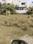 Daga Nagar Plot View 2