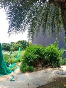 Image of 300 Sq.ft Residential Plot / Land for sale in Sector 56, Gurgaon for Rs. 72000000