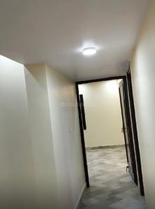 Hall Image of 2100 Sq.ft 3.5 BHK Builder Floor for rent in East Of Kailash New Delhi for Rs. 90000
