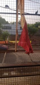 Balcony Image of 700 Sq.ft 2 BHK Apartment / Flat for sale in Sanganer Jaipur for Rs. 4200000