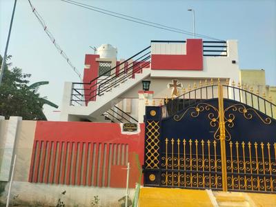 Plot View