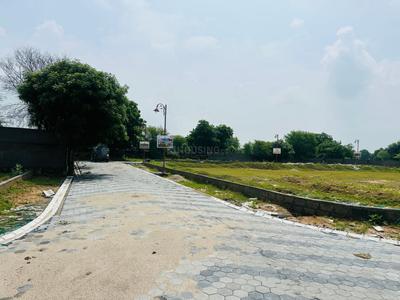 Luxury plots Plot View 3