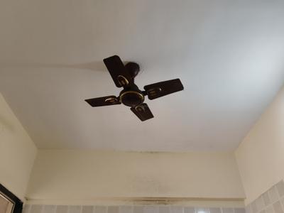 Kitchen Image of 550 Sq.ft 1 BHK Apartment / Flat for rent in Kharghar Navi Mumbai for Rs. 22000