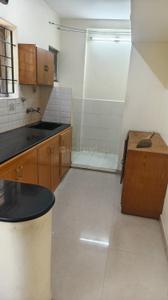 Kitchen Image of 960 Sq.ft 2 BHK Apartment / Flat for rent in Adyar Chennai for Rs. 35000
