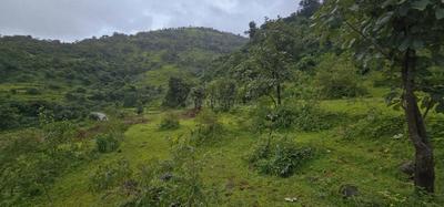 Image of 260000 Sq.ft Residential Plot / Land for sale in Varasgaon, Pune for Rs. 65000000