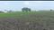 Old Guntur Plot View 2