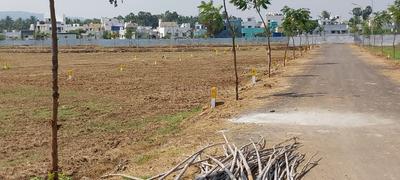 Image of 1560 Sq.ft Residential Plot / Land for sale in Samayanallur, Madurai for Rs. 2450000