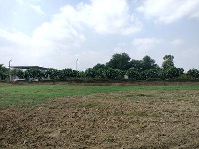 Image of 140 Sq.ft Residential Plot / Land for sale in Mansha Oaks, Sector 98, Faridabad for Rs. 17500000