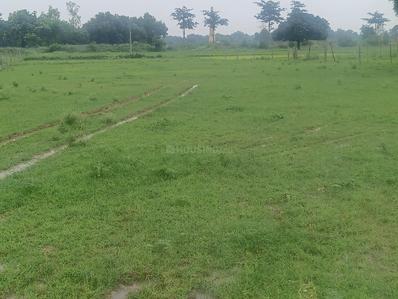 Image of 31725 Sq.ft Residential Plot / Land for sale in Chhataripur, Varanasi for Rs. 16500000