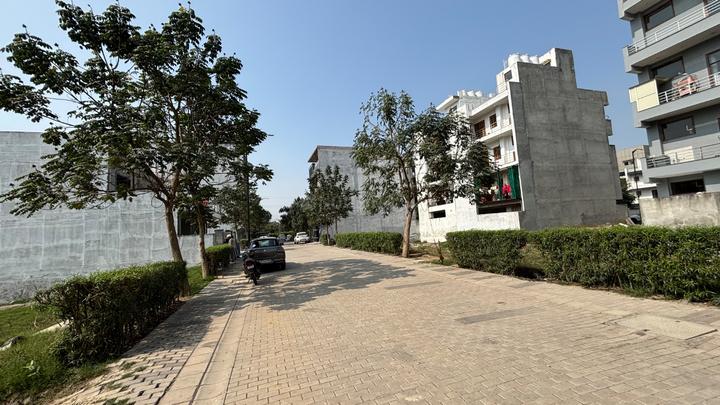 Amolik Aster Woods Main Image 1