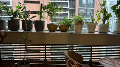 Image of 1280 Sq.ft 2 BHK Apartment / Flat for rent in Adani Aster Neo, Shantigram, Ahmedabad for Rs. 34000