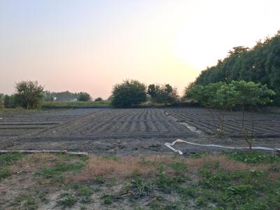 Image of 10000 Sq.ft Residential Plot / Land for sale in Dkrrish Green Beauty Farms, Nagli Bahrampur, Noida for Rs. 7500002
