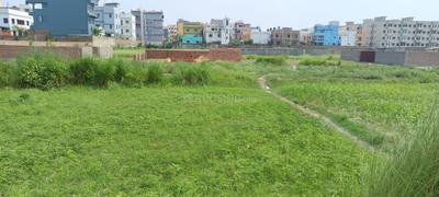 Image of 1200 Sq.ft Residential Plot / Land for sale in Adarsh Nagar, Samastipur for Rs. 1981200