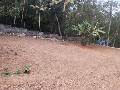 Image of 7840 Sq.ft Residential Plot / Land for sale in Koliyakode, Thiruvananthapuram for Rs. 7200000