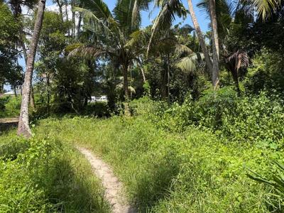 Image of 2177 Sq.ft Residential Plot / Land for sale in Panangad, Kochi for Rs. 3000000