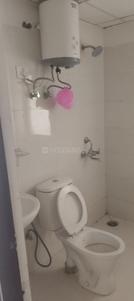 Bathroom Image of 650 Sq.ft 1 BHK Apartment / Flat for rent in VVIP Nest, Raj Nagar Extension Ghaziabad for Rs. 15000