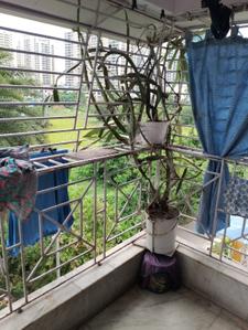 Balcony Image of 1400 Sq.ft 3 BHK Apartment / Flat for sale in Purbalok Kolkata for Rs. 9000000