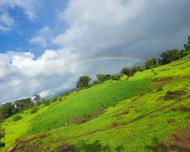 Image of 20000 Sq.ft Residential Plot / Land for sale in Bhor, Pune for Rs. 1800000