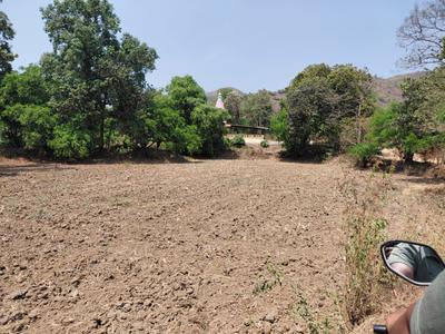 Palaspa Plot View 3