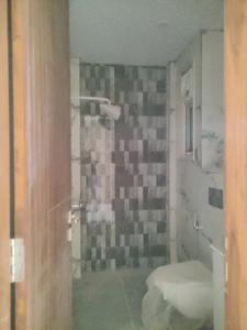 Common Bathroom Image of 1450 Sq.ft 3 BHK Builder Floor for sale in Green Field Colony Faridabad for Rs. 13500000