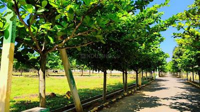 Image of 1200 Sq.ft Residential Plot / Land for sale in Hoskote, Bengaluru for Rs. 2640000