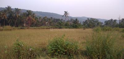 Image of 80000 Sq.ft Residential Plot / Land for sale in Korlai, Alibag for Rs. 56000000