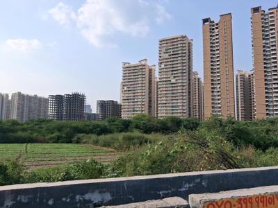 Image of 6750 Sq.ft Residential Plot / Land for sale in Sector 79, Noida for Rs. 130000000