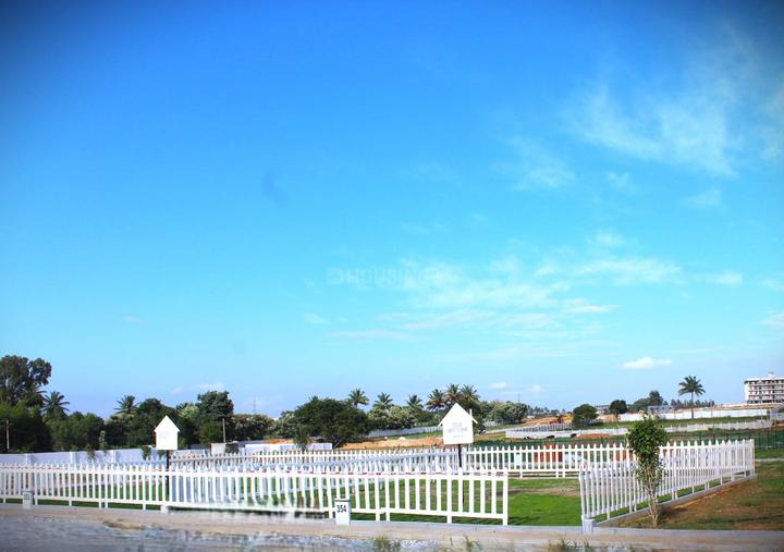 Ruby Sizzle Heritage Main Image 1