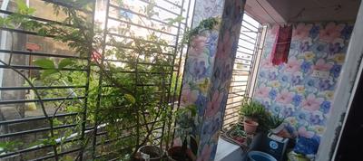 Balcony Image of 1750 Sq.ft 3 BHK Apartment / Flat for sale in Krishna Apartment, Baguiati Kolkata for Rs. 6800000