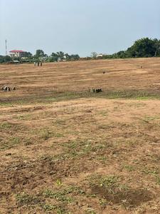 Sector 9 Plot View 2