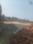 Panagar Plot View 2