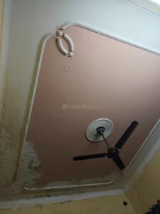 Hall Image of 1200 Sq.ft 1 RK Independent House for rent in Alpha II Greater Noida for Rs. 22500