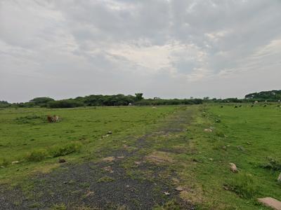 Image of 980 Sq.ft Residential Plot / Land for sale in Chengalpattu, Chennai for Rs. 1469026