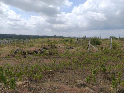 Image of 1213 Sq.ft Residential Plot / Land for sale in Lohegaon, Pune for Rs. 3616000