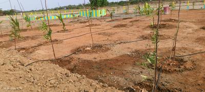 Image of 9205 Sq.ft Residential Plot / Land for sale in Palliagaram, Chennai for Rs. 3313800