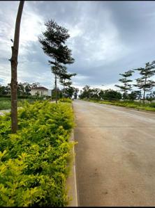 Image of 1575 Sq.ft Residential Plot / Land for sale in Navarathna Agrahara, Bengaluru for Rs. 16000000