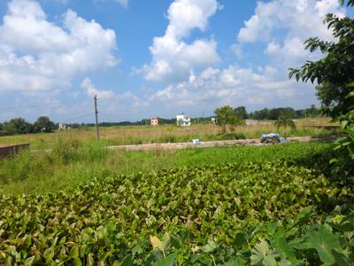 Image of 1440 Sq.ft Residential Plot / Land for sale in Raspunja Township, Joka, Kolkata for Rs. 477778