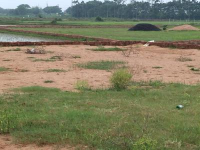 Image of 1000 Sq.ft Residential Plot / Land for sale in Benupur, Bhubaneswar for Rs. 2300000