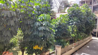 Living Room Image of 650 Sq.ft 1 BHK Apartment / Flat for rent in Hemant Kamala City, Katraj Pune for Rs. 14000