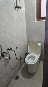 Bathroom Image of 1205 Sq.ft 2 BHK Builder Floor for rent in Sector 12 Noida for Rs. 25000