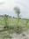 Mednipur Badripur Plot View 2
