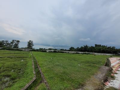 Image of 1500 Sq.ft Residential Plot / Land for sale in Kawakhari, Siliguri for Rs. 1000000