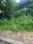 Sopan Retreat Plot View 2